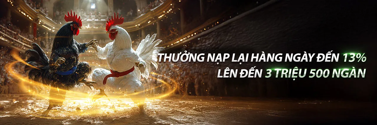 Đấu trường đá gà trực tuyến QQ88